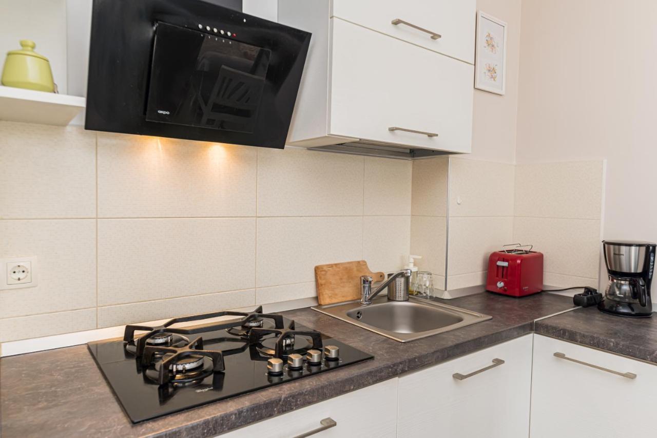 Apartament Belles Roses Brasovアパートメント エクステリア 写真