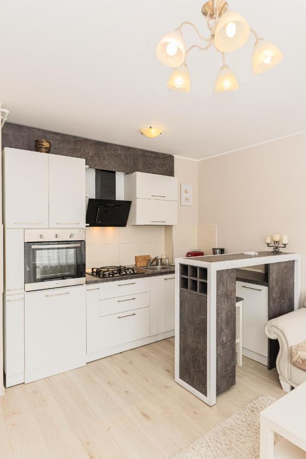Apartament Belles Roses Brasovアパートメント エクステリア 写真